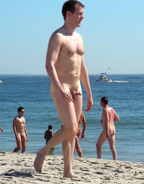 beach erection