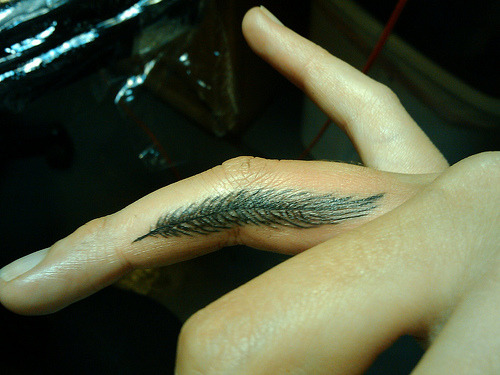 handsfeetkisses ugh I want a feather tattoo sooo bad 