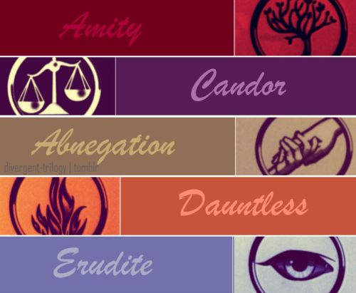 Day 10: Something You Hate About the Book
I know I&#8217;m not the first one to say this but I really wished we know more about the other factions.  Especially Amity, I barely know anything about them. Hopefully in the next books the other factions will be more involved.