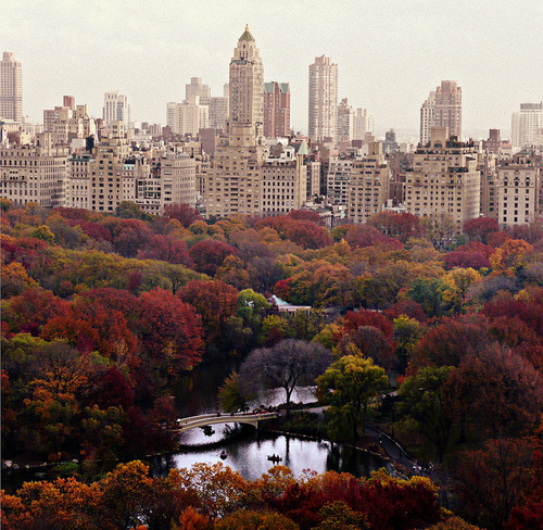 Cannot wait to visit NYC in two weeks. This photo is stunning.