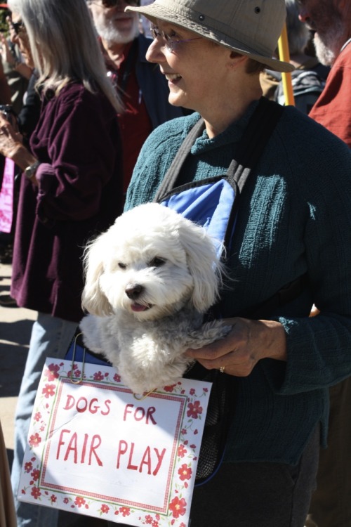 Santa Fe protesting pup.<br />
Submitted by Alexis B.