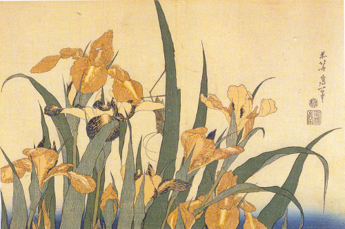 Iris e Cavalletta
1833 - 1834
Katsushika Hokusai