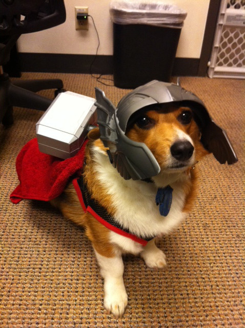 Thor chien