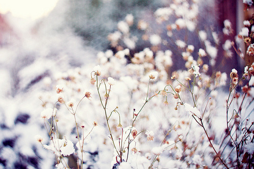 ♡ Wintertime ♡
