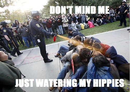 Don't mind me, just watering my hippies