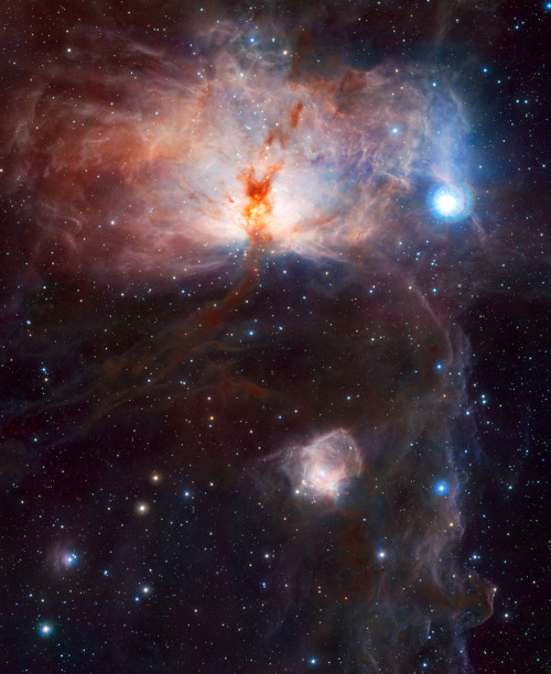 NGC 2024Flame Nebula The bright bluish star towards the right is one of the