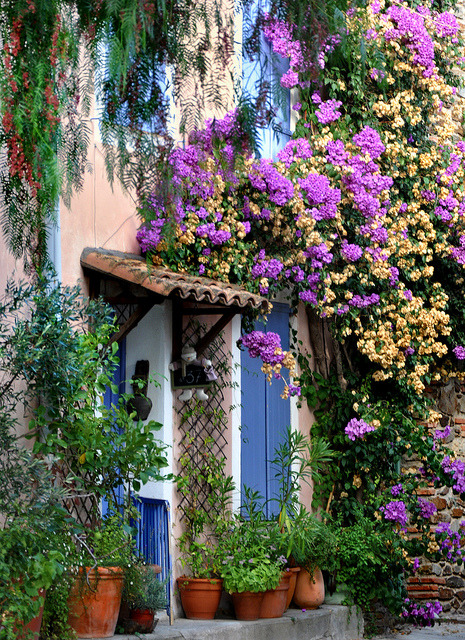 indigodreams:

bluepueblo:


Floral Entry, Grimaund, Provence, France
photo via besttravelphotos

