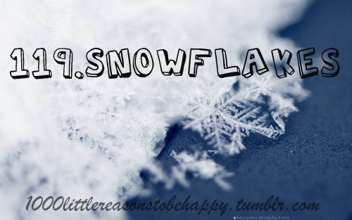 Snowflakes - (http://weheartit.com/entry/20598368)