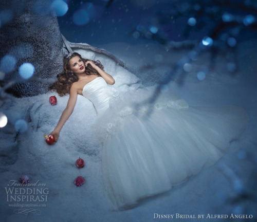 Disney Princess Wedding Dress Snow White ball gown with folded satin bodice