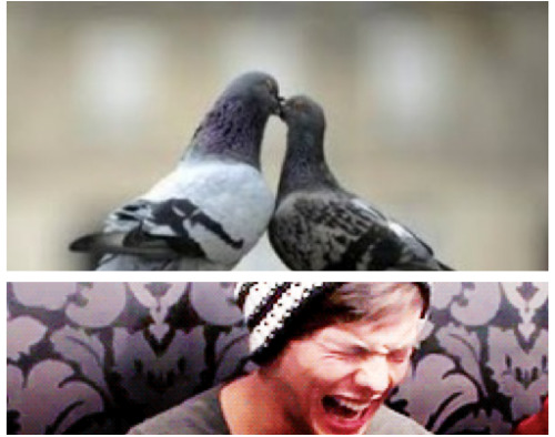 Dont cry Louis , Kevin has moved on:(