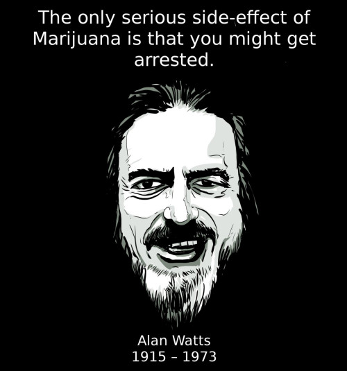 “O único efeito colateral sério da Marijuana é que você corre o risco de ser preso.” - Alan Watts (1915-1973) http://deoxy.org/w_psyrel.htm 
