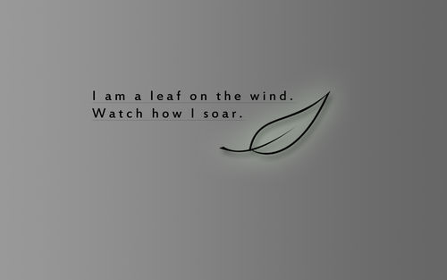 Serenity leaf quotes wind Firefly fly watches Wallpaper 568234 