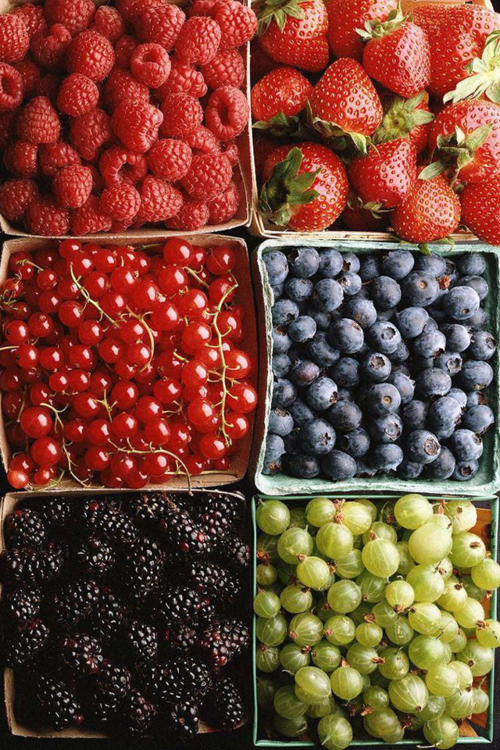 liminalbeauty:  Summer. Get in mah belly!  Yum! Fruit is one of my favorite foods!