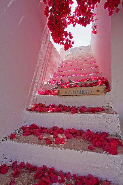 Stairs, Santorini, Greece
photo via miss