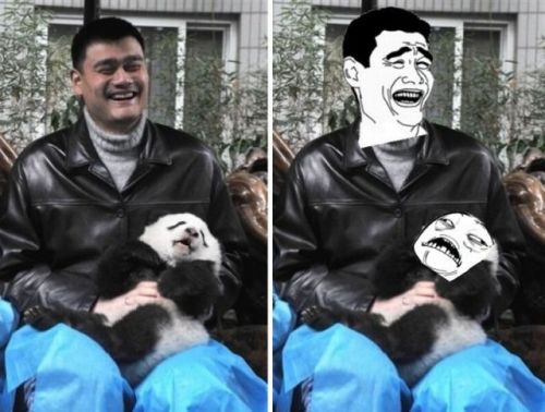 Just Yao Ming holding a panda
(Via MeGustaMemes: Purely funny memes)