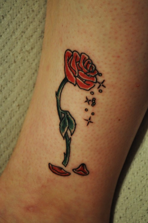 disneyink My Beauty and The Beast rose tattoo a few hours after it was