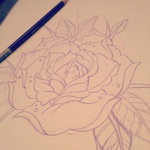  rose sketch art Taken with