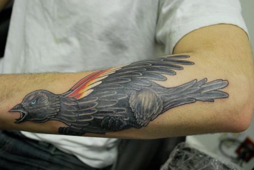bad tattoo Good Tattoo VS Bad Tattoo bird edition