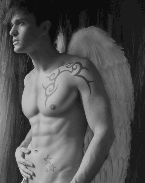 Tagged Angel Man Sexy Tattoo 