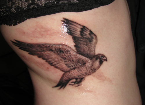 My Peregrine falcon tattoo done by the amazing Greg at Arboreal Ink in