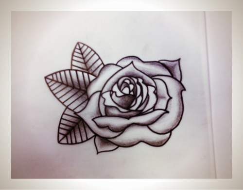 My rose sketch