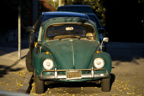1968 Volkswagen Beetle by Curtis Gregory Perry on Flickr
