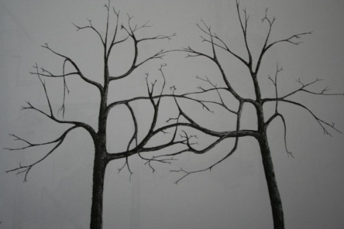 two trees getting down to some freaky love making! my art blog :   wastedlola.blogspot.com