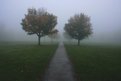 thereis a certain calming peace when it’s this foggy
