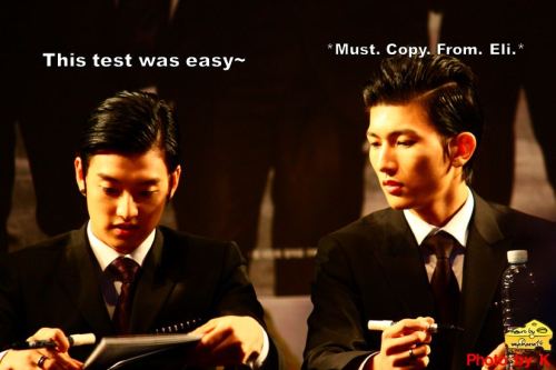 photo cr to owners :> macro by @rizzesaycheese :D
