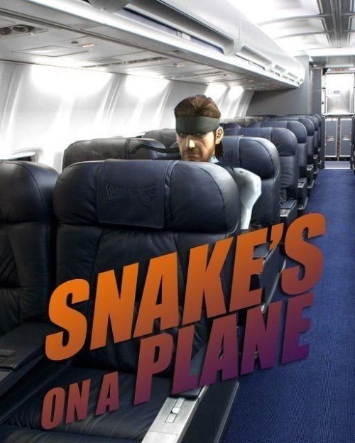 Snake is on a plane !