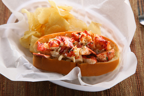 gastrogirl: lobster rolls. 