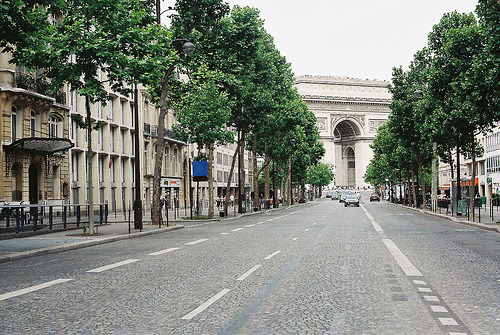 Paris (by louise lynn) 