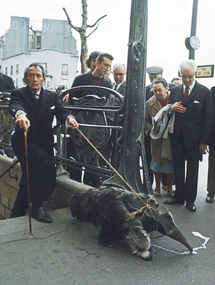 fuckyeahoddities: Salvador Dali Taking His Anteater for a Walk 