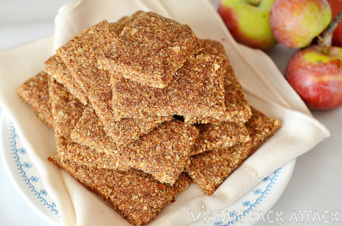 These Raw Apple Cinnamon Almond Bars are perfect for breakfast on-the-go! Naturally sweetened and satiating, they're also great post-workout snacks.